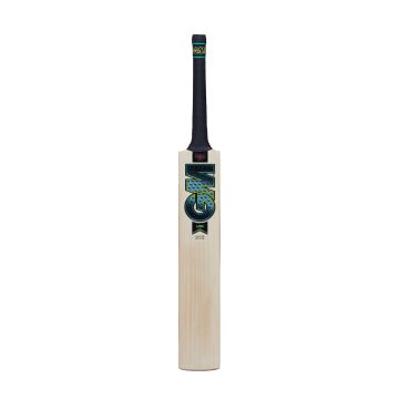 2024 Gunn and Moore Aion DXM Original Cricket Bat