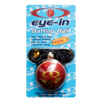Eye-In Batting Ball