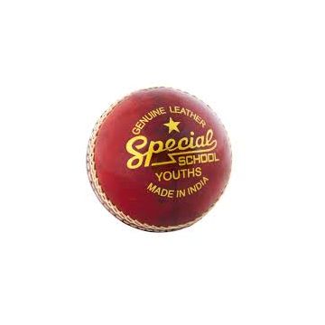 Readers School Special Junior Cricket Ball
